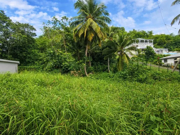 Terrain 4 573 m² au Gosier - Idéal investisseur / projet imm 