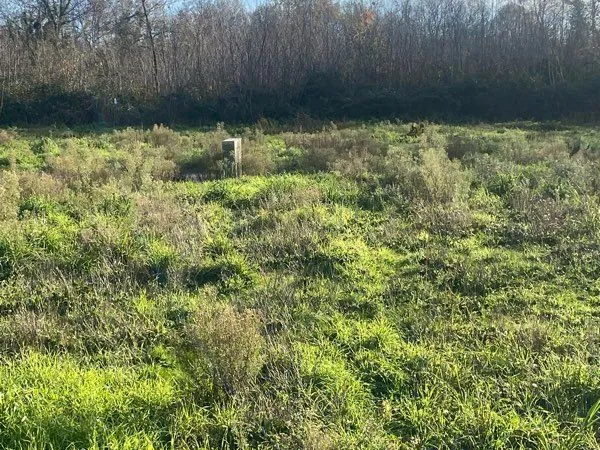 Terrain viabilisé 