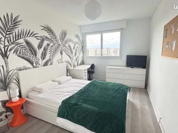 Chambre dans colocation 