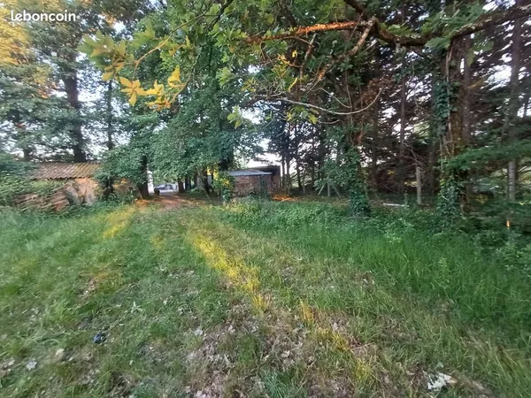 Terrain à louer 