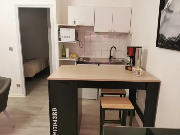 Appartement 1 pièce 29 m² 