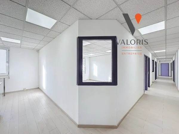Bureau 245 m² 