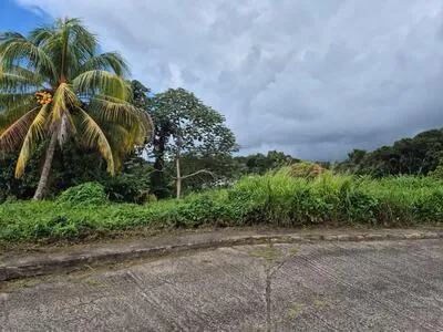 SAINT-JOSEPH MARTINIQUE TERRAIN A VENDRE 