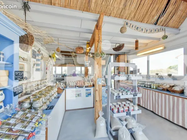 Epicerie/Primeur 60 m² 