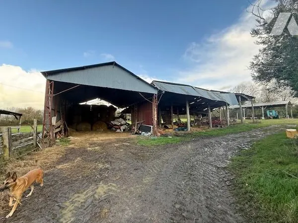 Terrain 20000 m² 