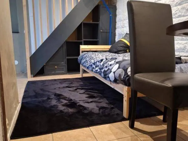 Studio 1 pièce 14 m² 