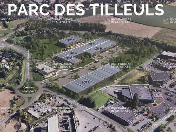 Local d'activité 