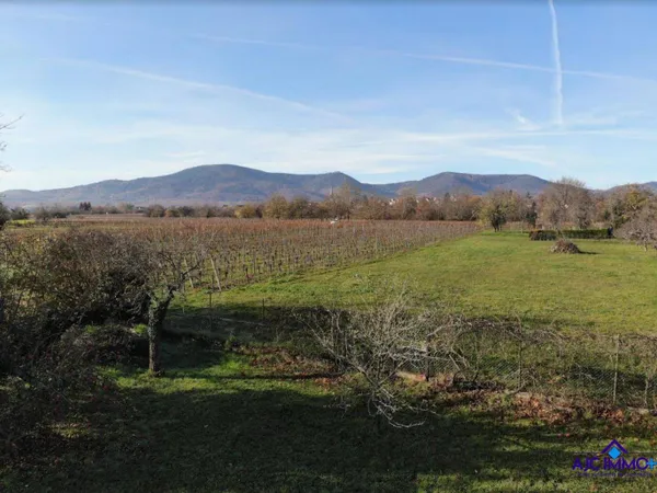 Maison 5 pièces 339 m² 