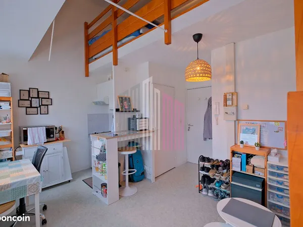 Appartement 1 pièce 19 m² 