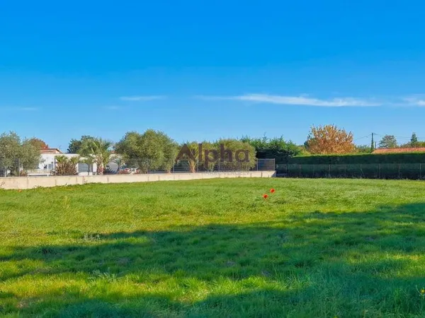 Forêt 750 m² Montbartier 