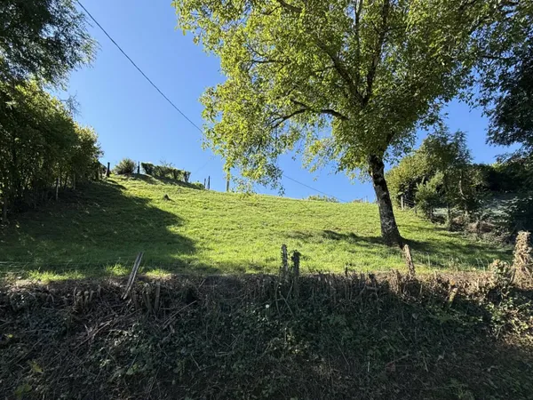 Propriété 
