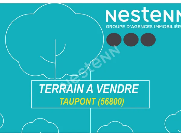 Terrain de 535 m² à Taupont (56800) 