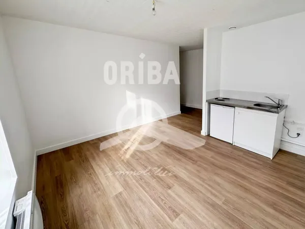 Appartement 1 pièce 20 m² 