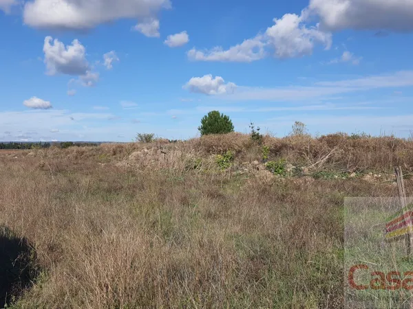 Terrain Vente Manduel  1996m² 25000€