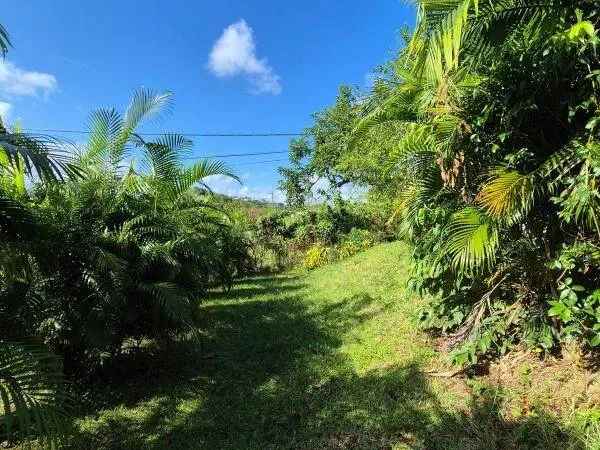 Propriété 100 m² 