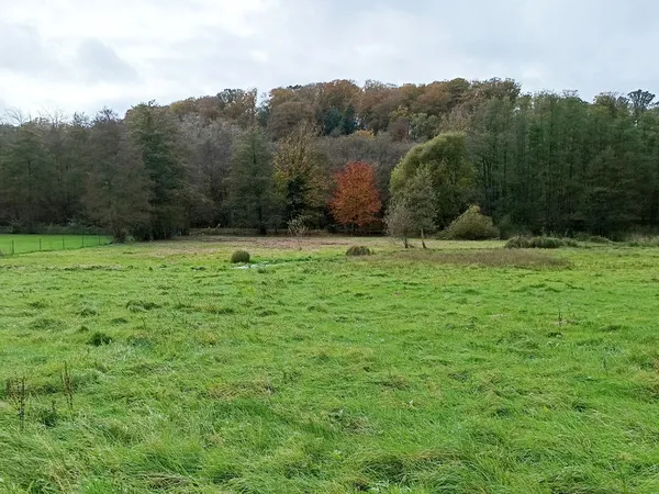 SECTEUR VALMONT, TERRAIN 2.348 m2 DEJA VIABILISE 