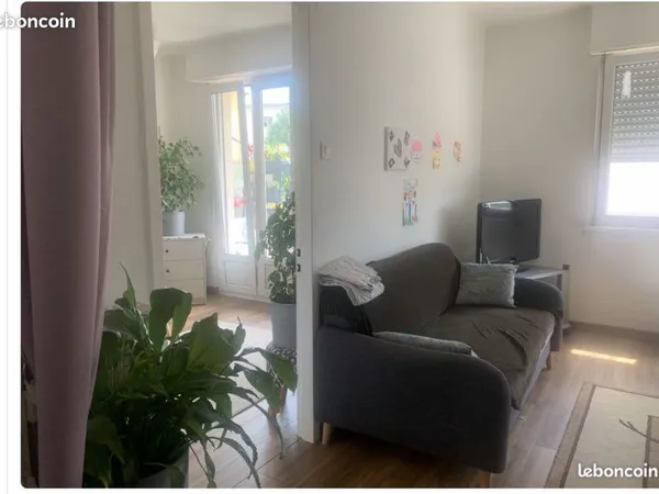 Appartement 2 pieces Schiltigheim 