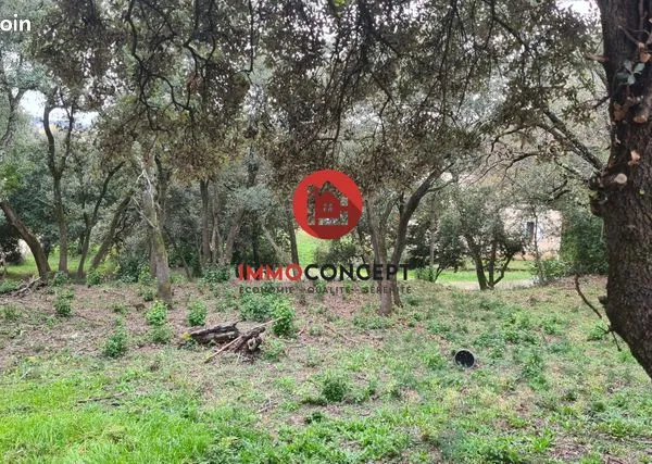 Terrain 740 m² 