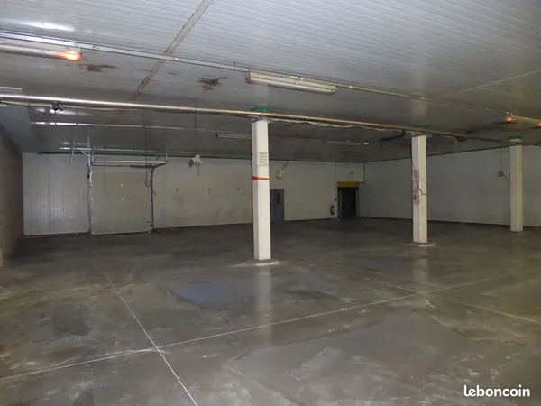 Local 540 m² SAINT PRIEST EN JAREZ 
