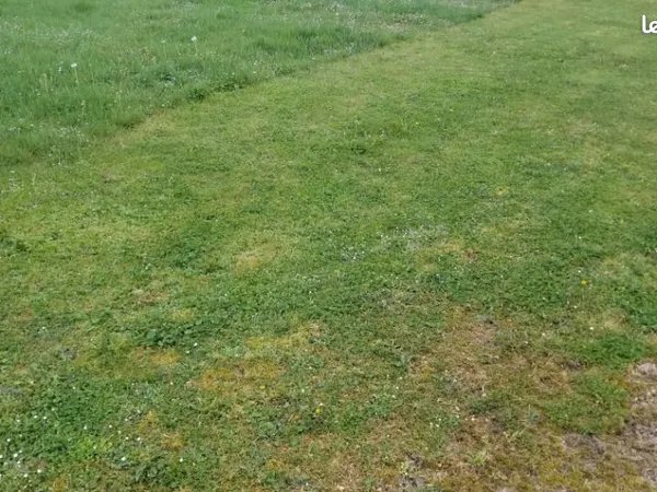 Terrain 450 m² Naujan Et Postiac 