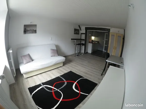 Studio meublé 25m2 - Sarreguemines - Welferding 