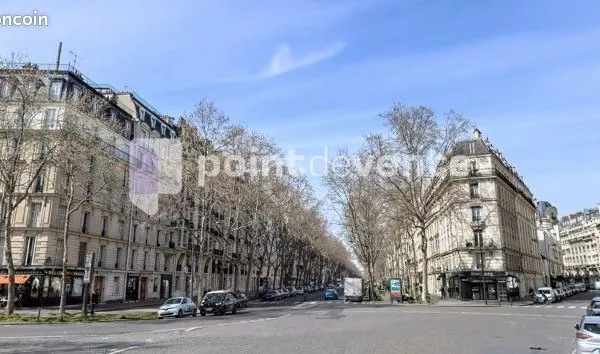 Epicerie/Primeur 75 m² 
