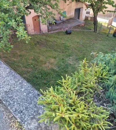 Appartement 1 pièce 100 m² 