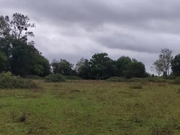 Terrain 583 m² 