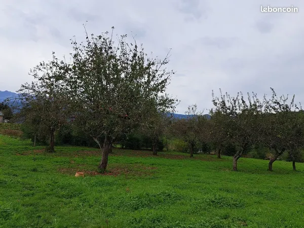 Vente verger à Oust 