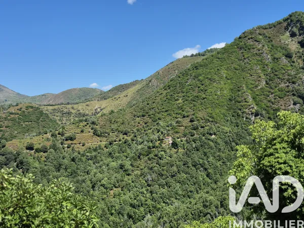 Terrain en individuel 38700 m² 