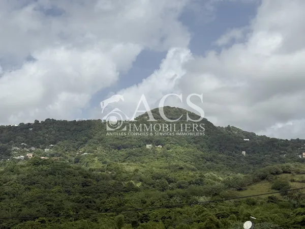 Terrain - 3361 m2 - LE MARIN 