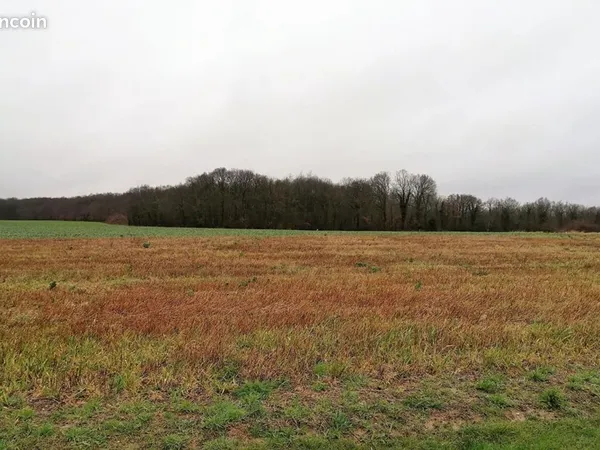 Terrain 1 299 m² La Selle Sur Le Bied 