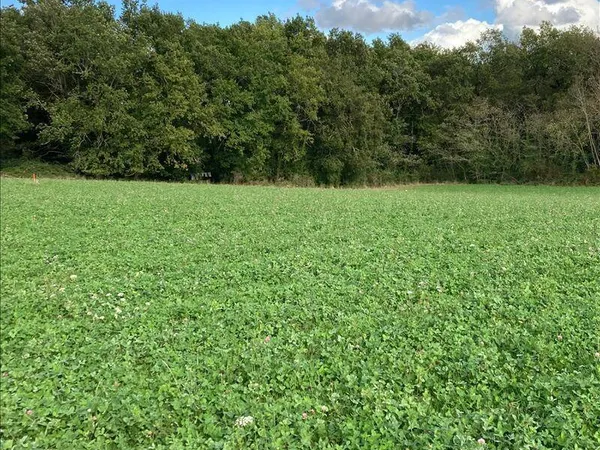 Terrain constructible 1722 m² 