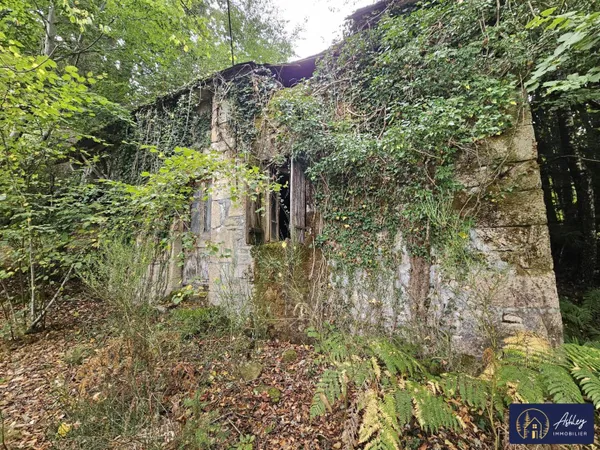 Maison 1 pièce 50 m² 