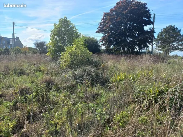 Terrain 359 m² Brusvily 