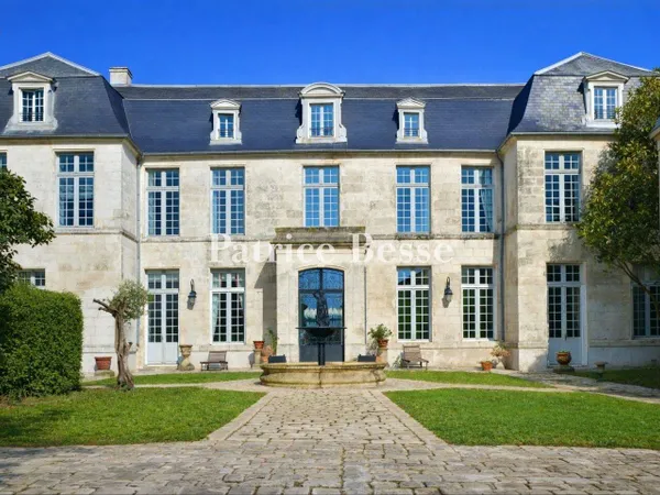 Hôtel particulier 14 pièces 