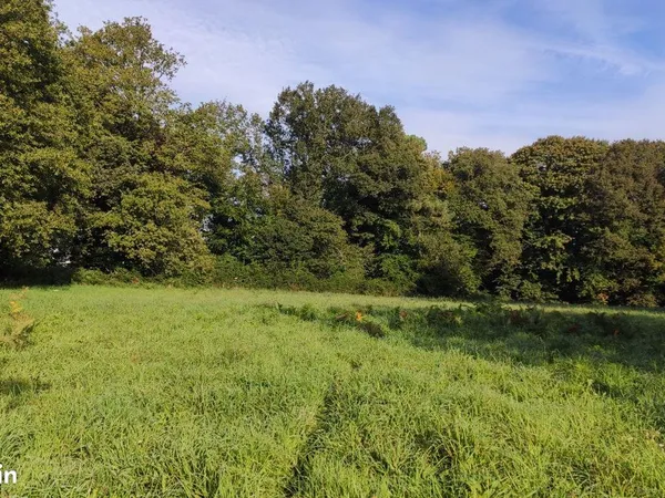 Bien agricole 56588 m² Baud 