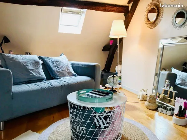 Cocon dans le vieux Tours 38m2 (carrez 24m2) 