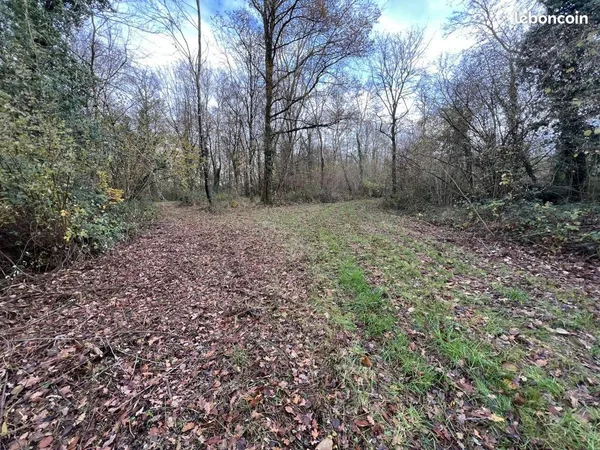Terrain 75235 m² Jarzé-Villages 