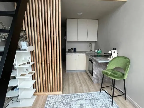 Studio 1 pièce 26 m² 
