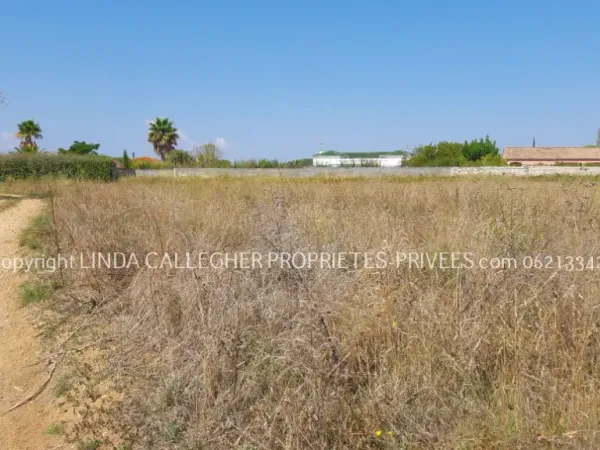 Terrain agricole en friche, proche 34120 Pezenas 9343 m2 