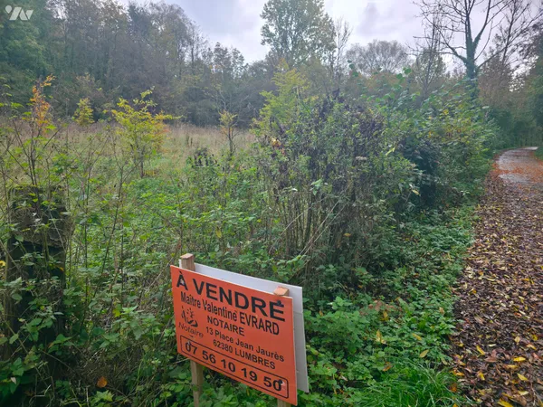 Terrain 7150 m² 