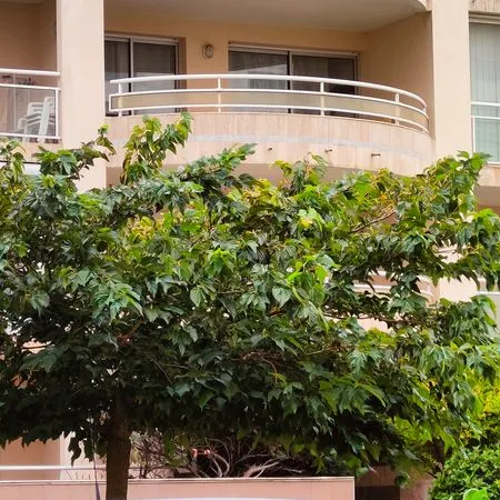 Appartement t 2 avec terrasse de 16² 