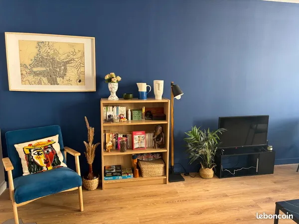 Grand appartement T2 - central, meublé, lumineux et climatisé 