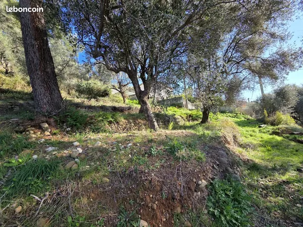 Terrain 1000 m² Saint-Martin-du-Var 
