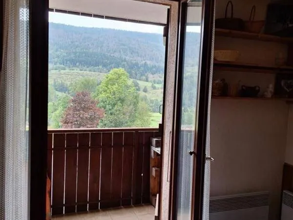 Studio 1 pièce 20 m² 