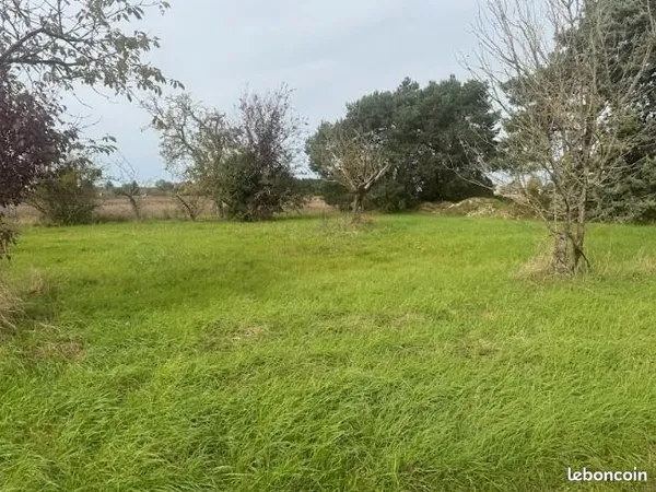 Terrain 1 000 m² Saint Etienne De Chigny 