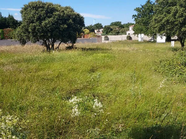 Terrain 470 m² 