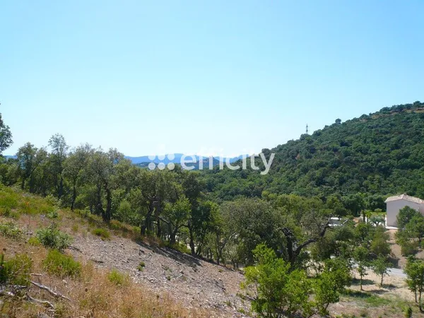 Terrain 5000 m² 