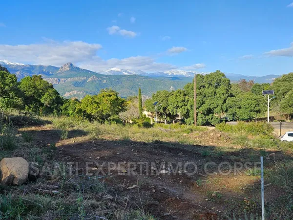 Terrain 5435 m² 